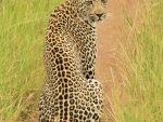 south-africa-ii-017